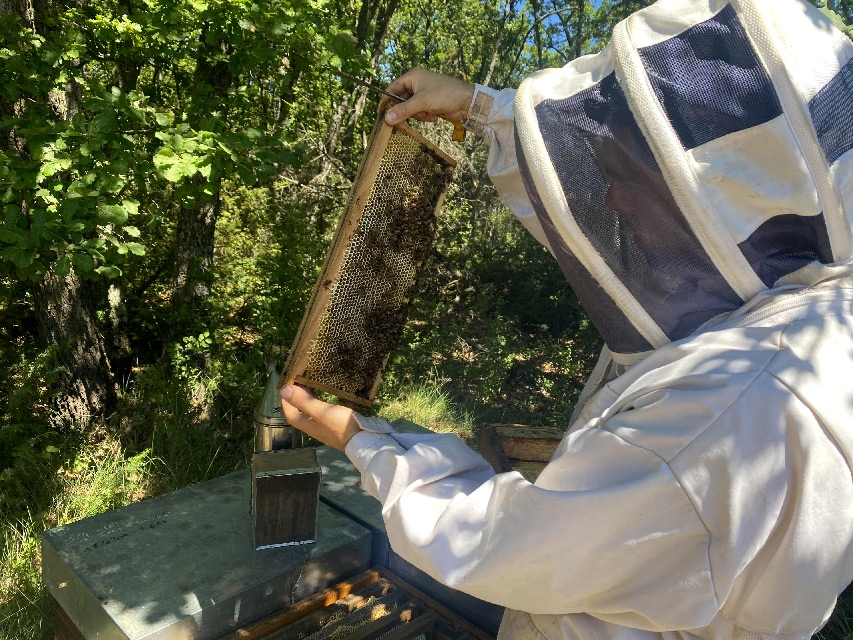 Second fermentation with honey from the Maures plain beehives