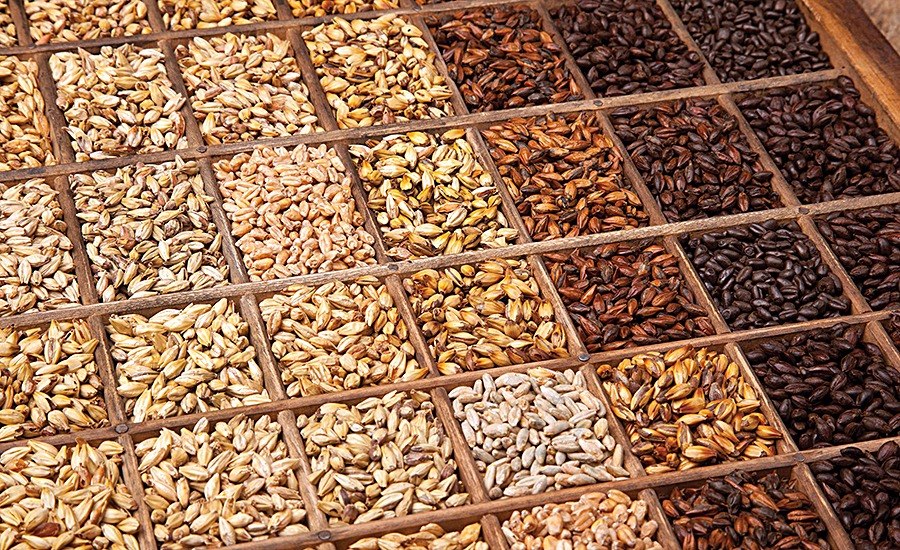 Malts