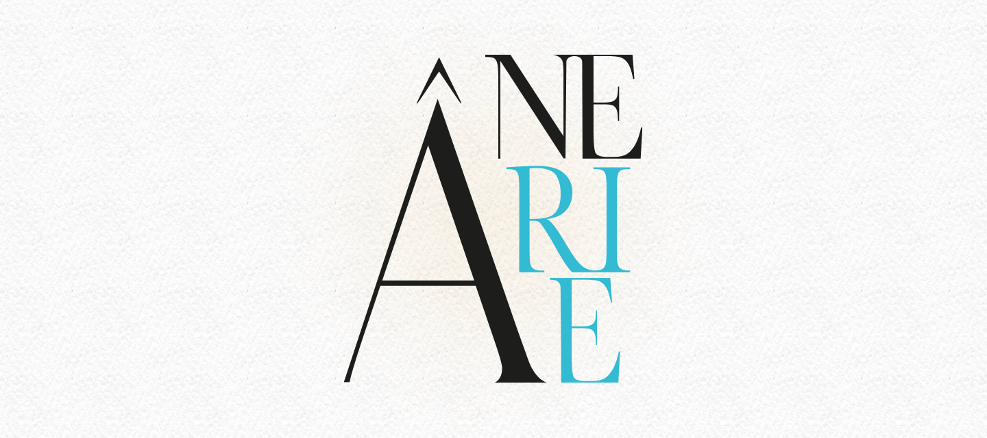 L'ÂNERIE